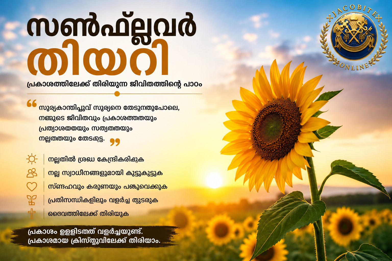 സൺഫ്ലവർ തിയറി: പ്രകാശത്തിലേക്ക് തിരിയുന്ന ജീവിതത്തിന്റെ സന്ദേശം