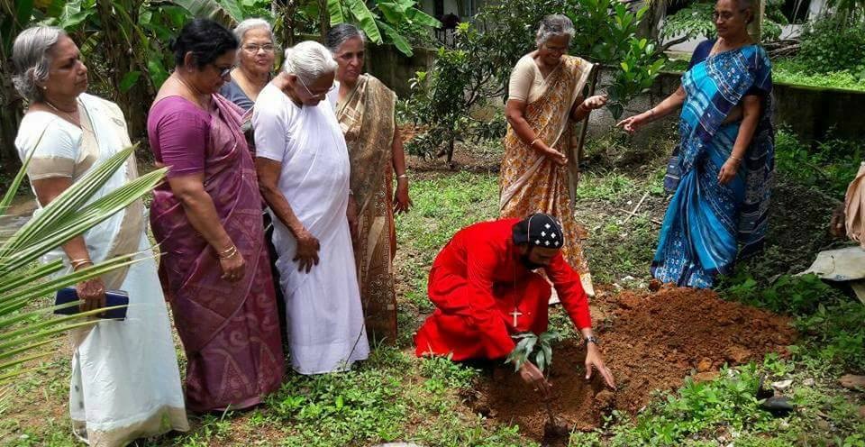സമാജം വൃക്ഷതൈ നട്ടു.
